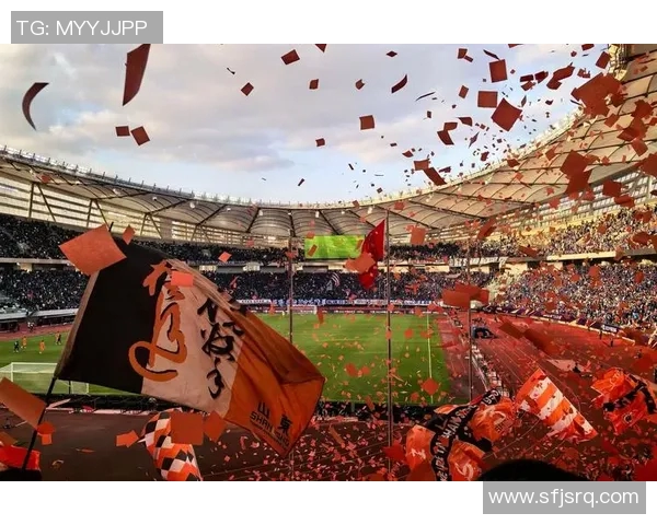 北龙主场力挽狂澜，成功保级德甲席位